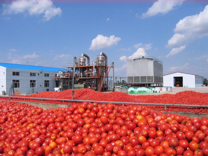Arkhum (Tianjin) Health Technology Co., Ltd. 鎮ㄨ鎵剧殑璧勬簮宸茶鍒犻櫎銆佸凡鏇村悕鎴栨殏鏃朵笉鍙敤銆